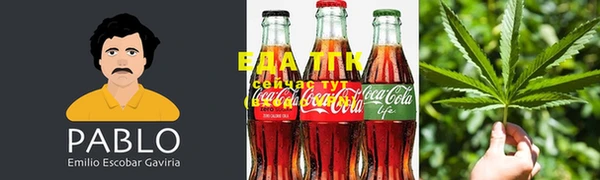 эйфоретик Кукмор