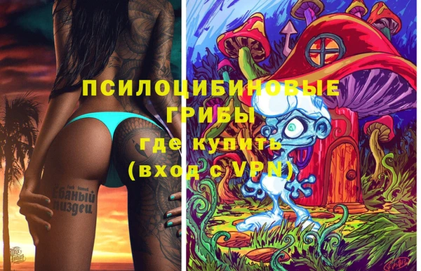 альфа пвп Куйбышев