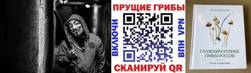 Галлюциногенные грибы Cubensis  наркотики  Комсомольск-на-Амуре 