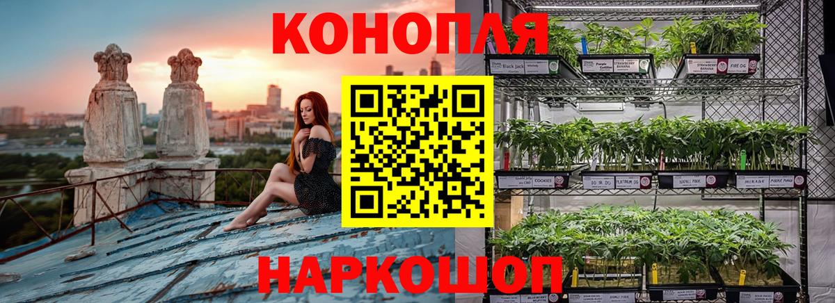 Конопля MAZAR Комсомольск-на-Амуре